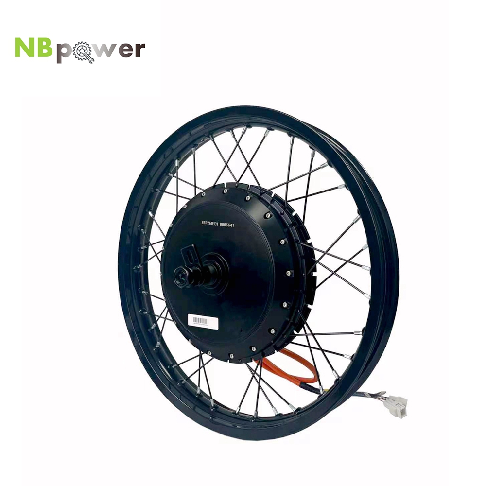 Qs Motor 273 8000W Hub Motor - NBpower/170mm Dropout QS 273 40H 72V